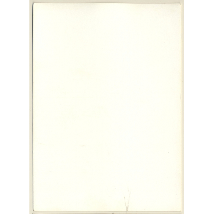 Slim Shorthaired Kneeling On Carpet / Hairy Armpits (Vintage Photo GDR ~ 1980s)