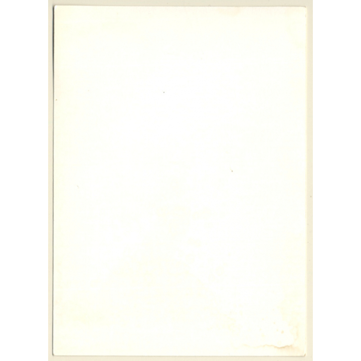 Darkhaired Semi Nude Standing / Nylons & Suspenders (Vintage Photo GDR ~1970s/1980s)