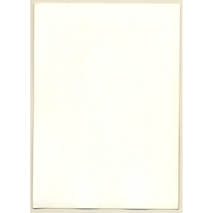 Pensive Topless Nude On Lounge Chair / Wallpaper (Vintage Photo GDR ~1980s)