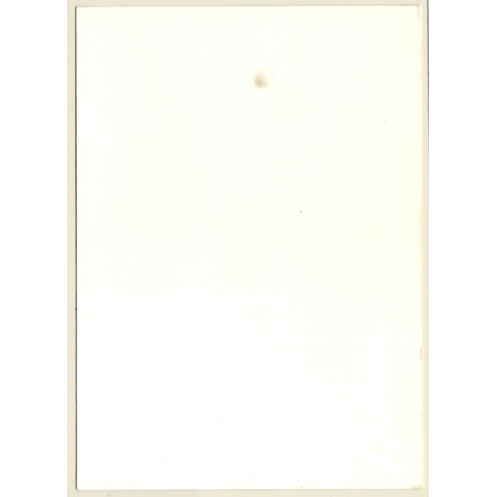 Natural Darkhaired Nude Reclining On Bed / Glasses (Vintage Photo GDR ~1980s)