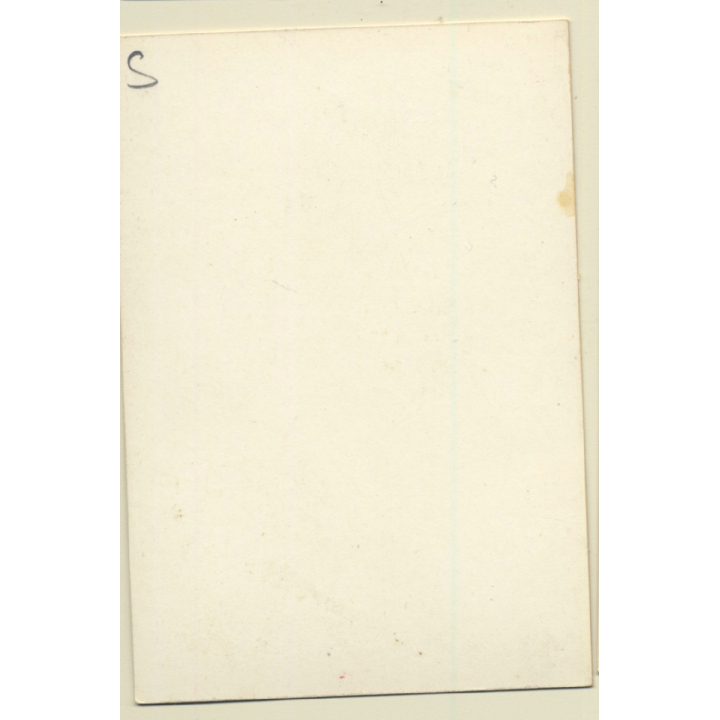 Pin-up Girl *19 / Darkhaired - Wasp Waist (Vintage Trading Card ~1950s)