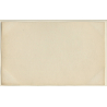 AL Aristophot K 104 I: Erotic Painting / Nude Art (Vintage RPPC 1900s)