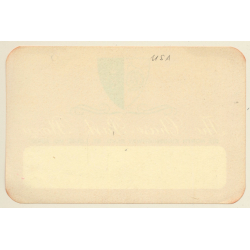 Saint Louis / USA: The Chase Park Plaza Hotel (Vintage Luggage Label)