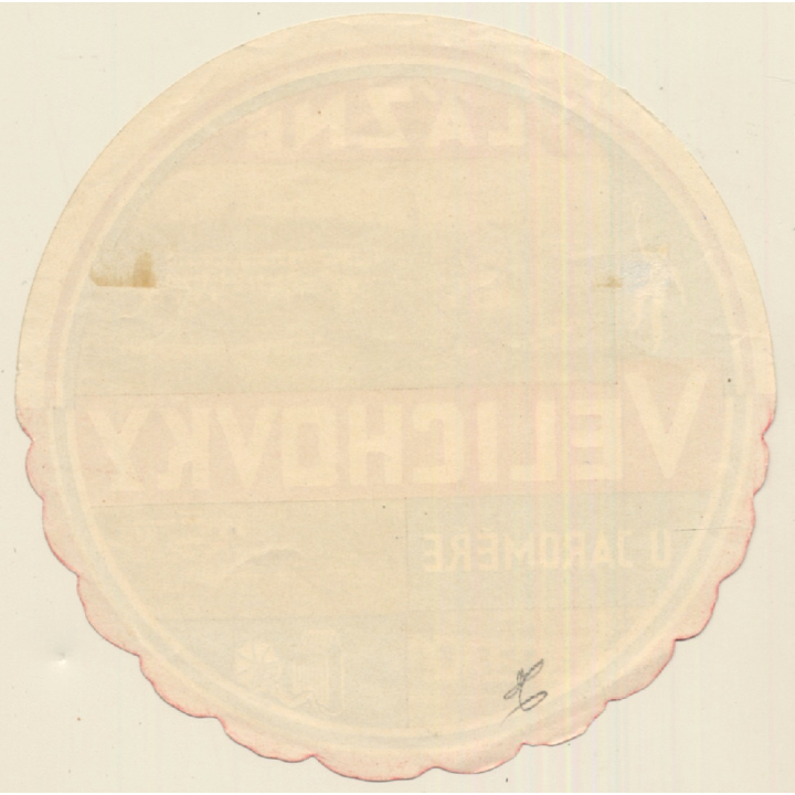 Lazne / Czechia: Velichovky U Jaromere (Vintage Luggage Label)