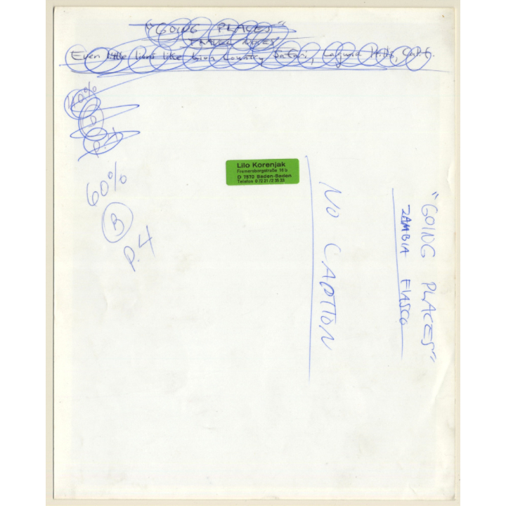 Laguna Hills - California: 2 Lions Cubs At Lion Country Safari (Vintage Press Photo 1970s)