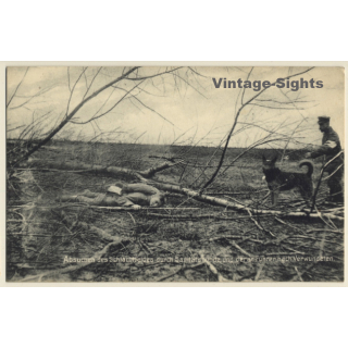 Rotes Kreuz: Absuchen Des Schlachtfeldes Durch Sanitätshunde (Vintage PC ~1910s)