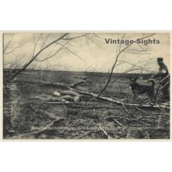 Rotes Kreuz: Absuchen Des Schlachtfeldes Durch Sanitätshunde (Vintage PC ~1910s)