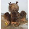Vintage Steiff Owl 'Wittie' With Button & Tag 4314 - 1959-1967