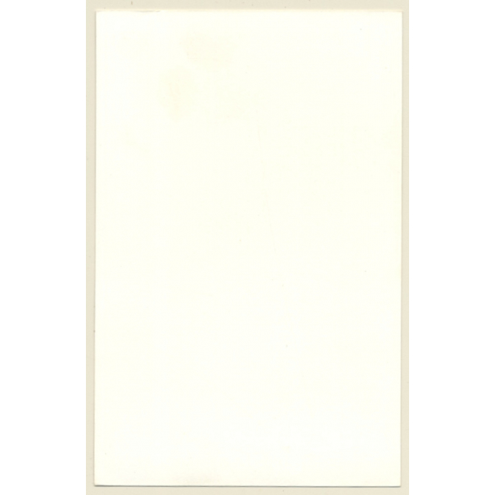 Cheeky Brunette Semi Nude Standing / Panties (Vintage Photo GDR ~1980s)