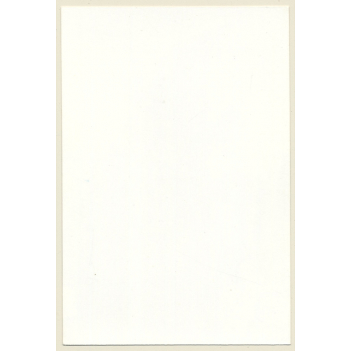 Slim Brunette Semi About To Put On Nylons / Suspenders (Vintage Photo ~1990s)