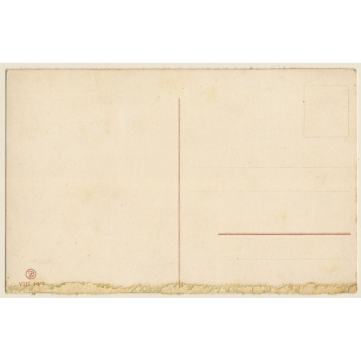 Frankfurt a.M. / Germany: Zirkus Schumann *2 - Circus (Vintage PC ~1910s/1920s)