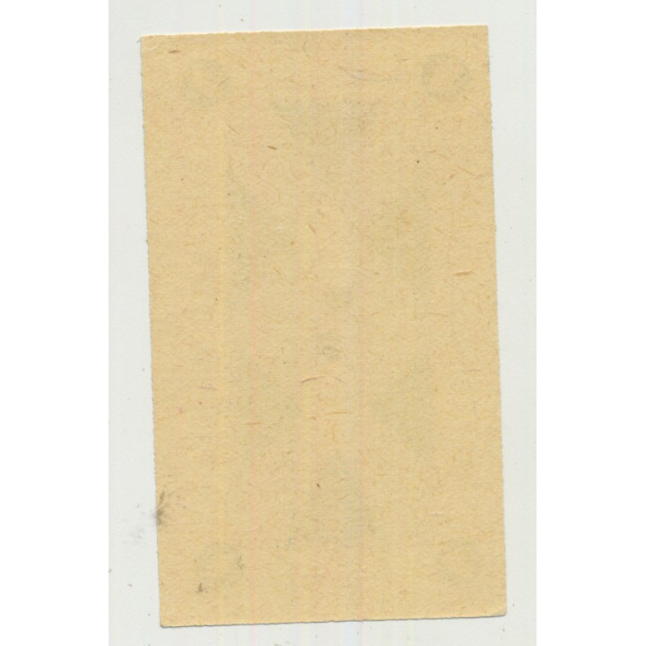 Hotel Ceska Beseda - Liberec / Czech Republic (Vintage Luggage Label)