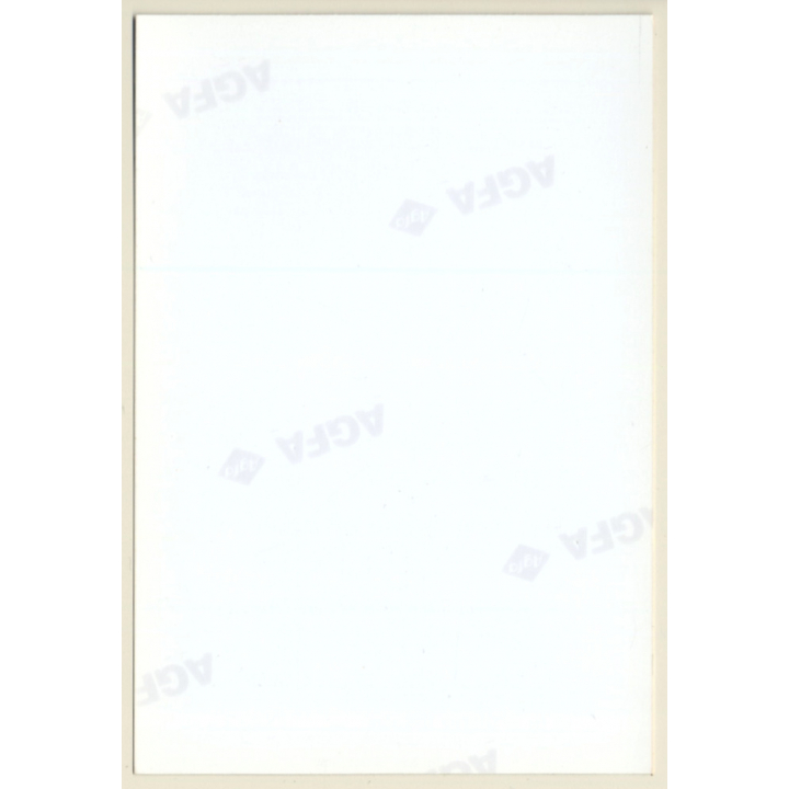 Pale Topless Female On Meadow (Vintage Photo ~1980s)