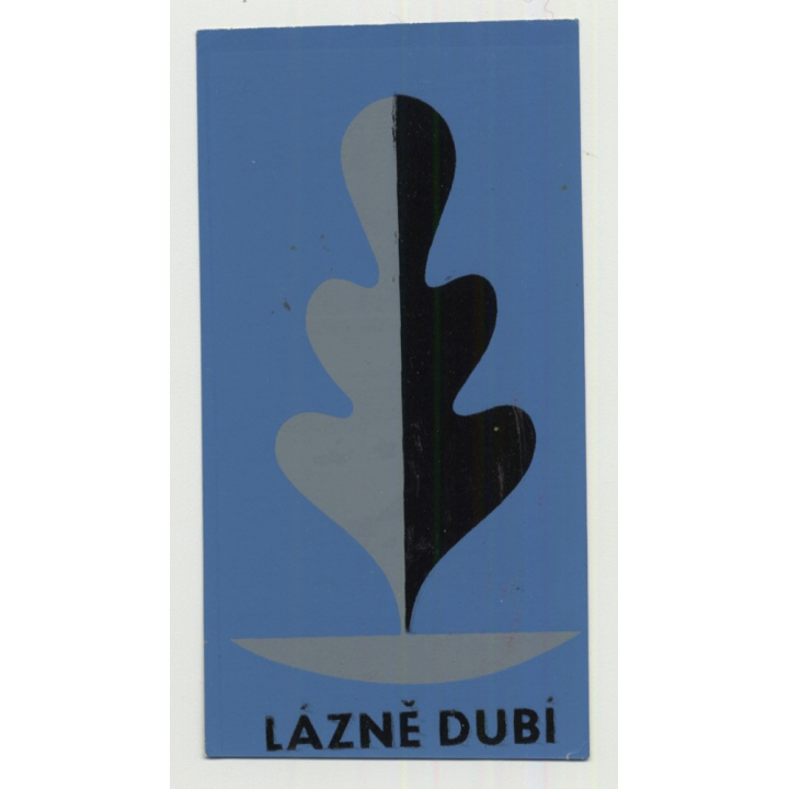 Lazne Dubi (Spa Dubi) - Dubi / Czech Republic (Vintage Luggage Label)