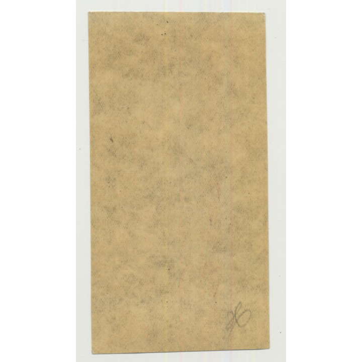 Lazne Dubi (Spa Dubi) - Dubi / Czech Republic (Vintage Luggage Label)