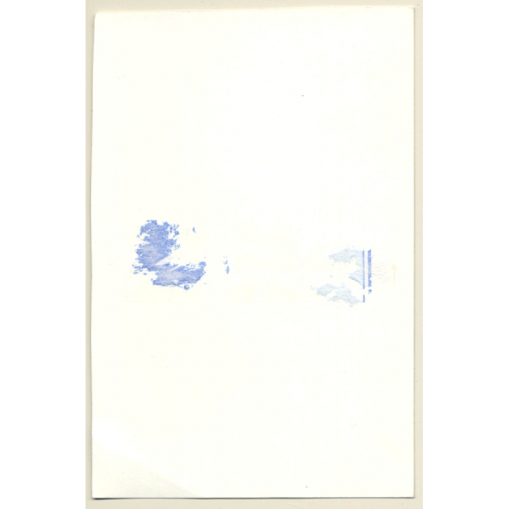 Shorthaired Semi Nude In Lingerie & Fur Coat / Wallpaper (Vintage Photo GDR ~1980s)