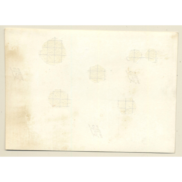 Rallye Du Limousin 1964: N° 1 Ford Shelby AC Cobra  (Vintage Photo)