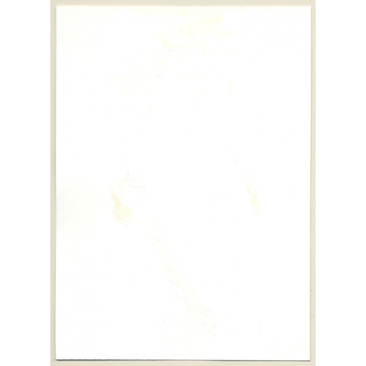 Natural Darkhaired Nude Standing / Bob - Hairy Armpits (Vintage Photo GDR ~1980s)