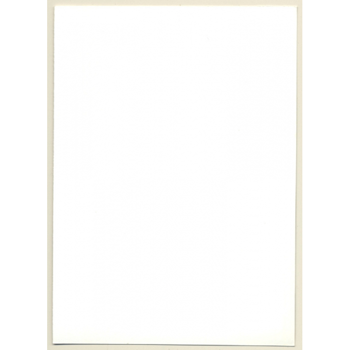 Dreamy Brunette Nude Standing / Suspenders (Vintage Photo GDR ~1980s)