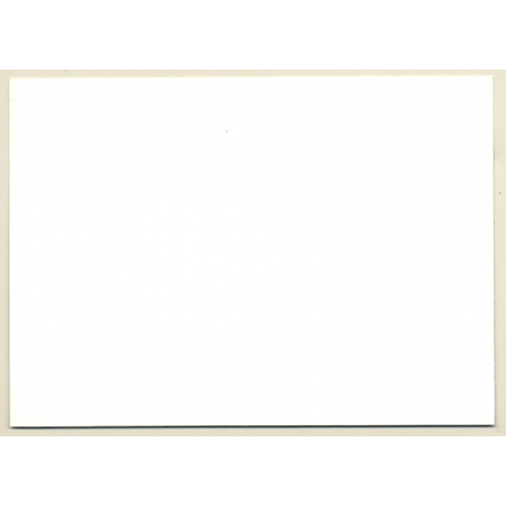 Dreamy Brunette Nude On Psychedelic Carpet / Suspenders (Vintage Photo GDR ~1980s)