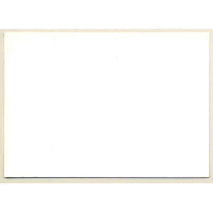 Nude Sleeping Beauty / Suspenders - Nylons (Vintage Photo GDR ~1980s)