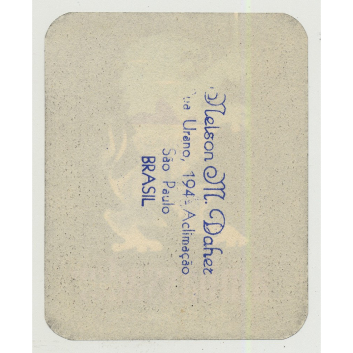 Hotel Ambassador - Rio De Janeiro / Argentina (Vintage Luggage Label) LION