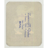 Hotel Ambassador - Rio De Janeiro / Argentina (Vintage Luggage Label) LION