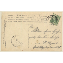 Murrhardt: Hochzeitsgesellschaft Gasthaus Waldhorn (Vintage RPPC 1905)