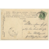 Murrhardt: Hochzeitsgesellschaft Gasthaus Waldhorn (Vintage RPPC 1905)