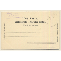 Seelisberg / Schweiz: Wirtschaft Zum Treib (Vintage PC 1900)