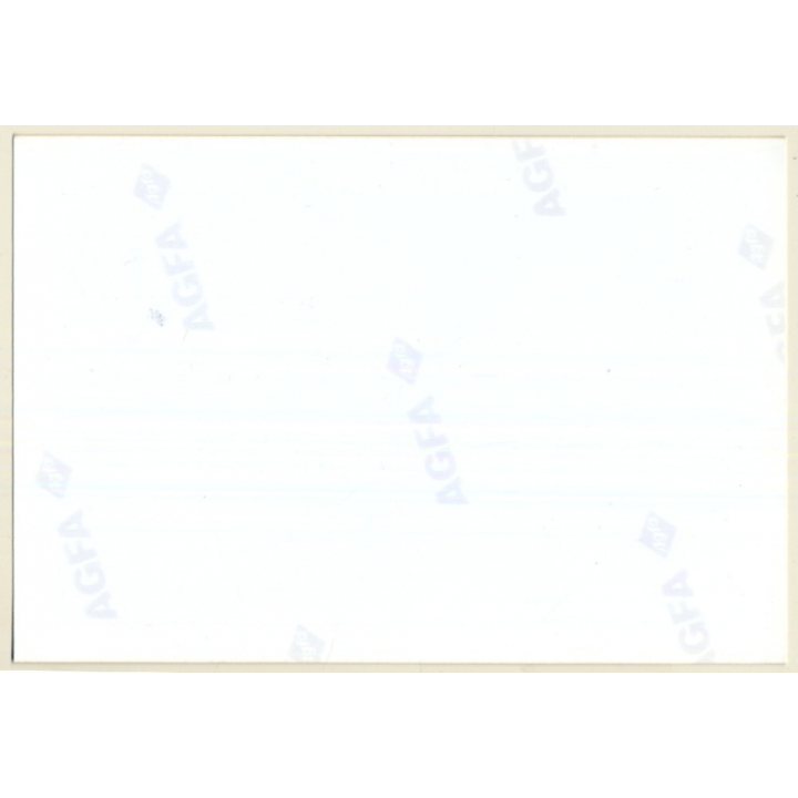 2 Natural Topless Females On Meadow *1 / Boobs (Vintage Photo ~1990s)