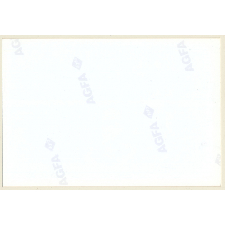 2 Natural Topless Females On Meadow *2 / Boobs (Vintage Photo ~1990s)