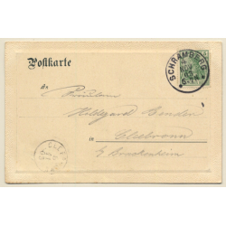 Schramberg / Black Forest: Total View (Vintage PC 1903)