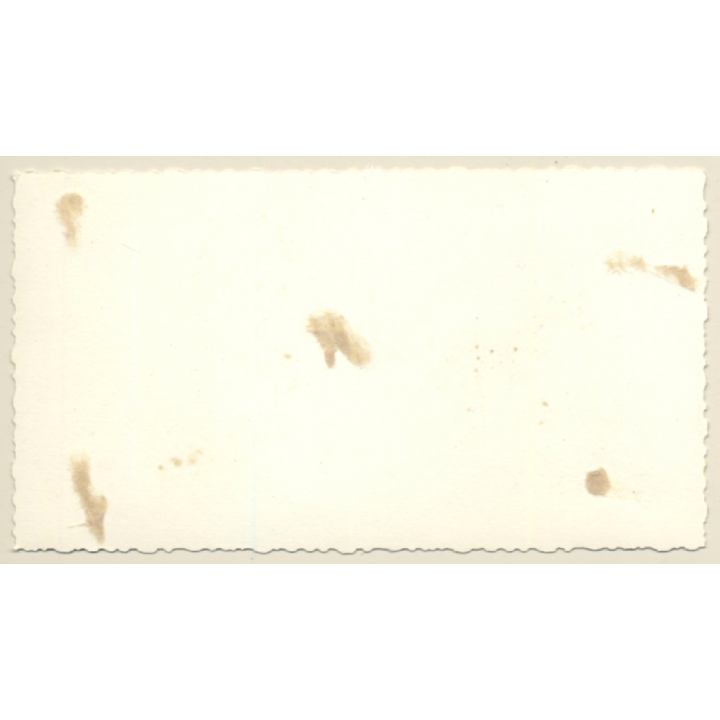 Kneeling Blonde Semi Nude Looks At Camera / Suspenders (Vintage Photo 2nd Gen ~1960s)