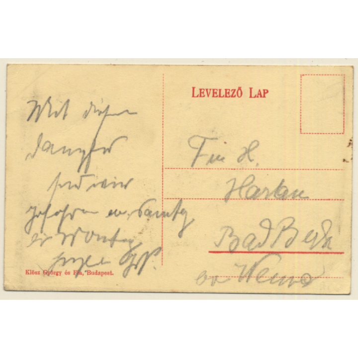 Donau Raddampfer Deák Ferenc / Paddle Steamer (Vintage PC 1910s)