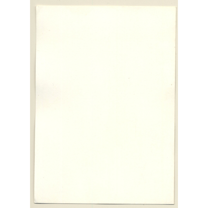 Slim Attractive Brunette Nude Sitting (Vintage Photo GDR 1970s/1980s)