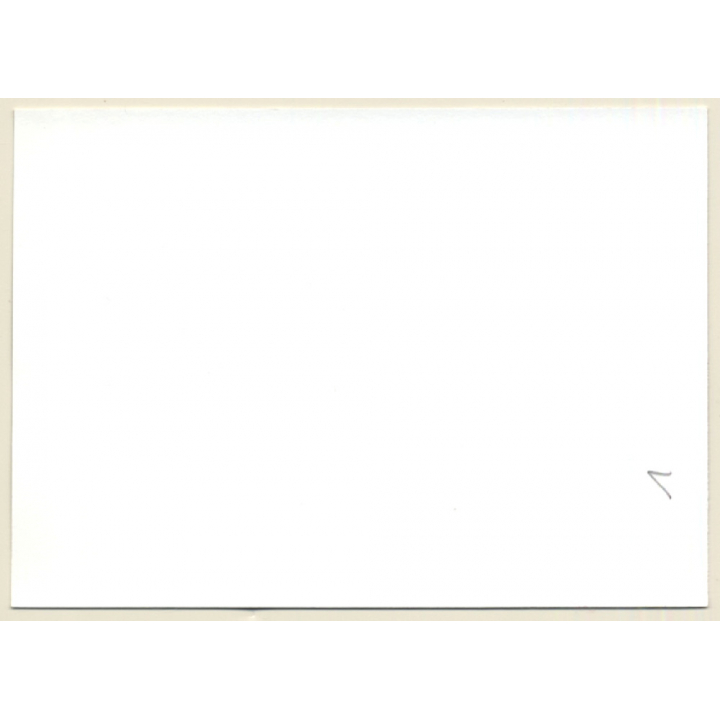 Nude Female Lingering On Flocate Carpet / Nylons (Vintage Photo GDR 1970s/1980s)