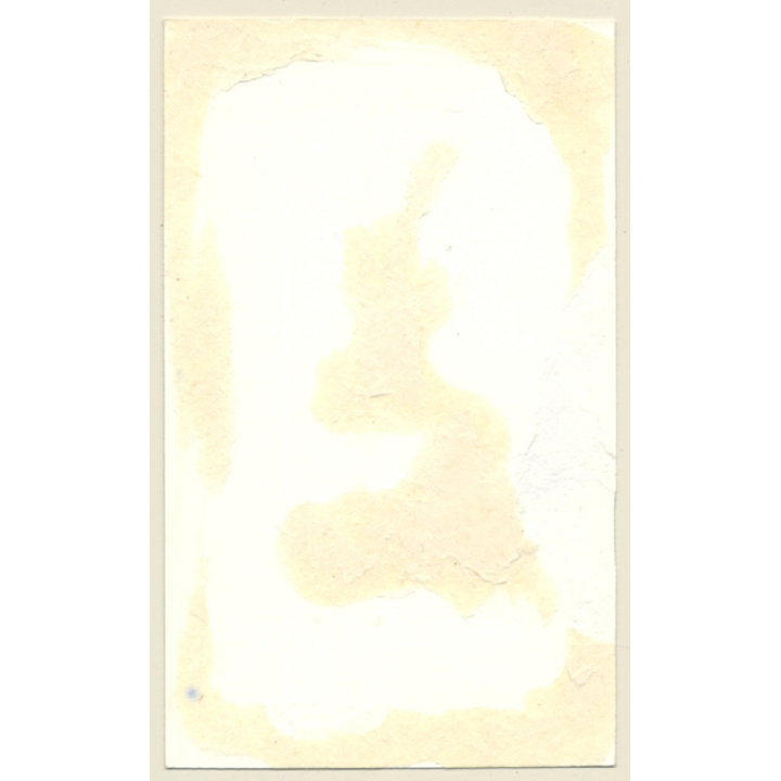 Busty Longhaired Semi Nude / Black Lingerie (Vintage Photo GDR 1970s/1980s)