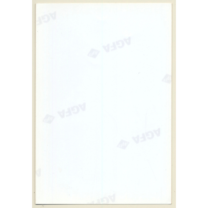 Topless Darkhaired Semi Nude Holds Breasts Outdoors (Vintage Photo ~1990s)