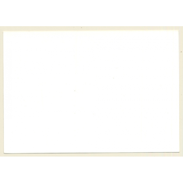 Semi Nude Blonde Curlyhead On Floor / Bra (Vintage Photo GDR ~1980s)