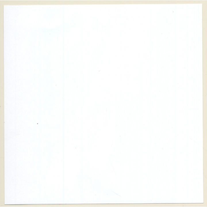 Erotic Study: Topless Longhaired Beauty (Digital Photo Print 2000s)