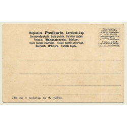 Holland - Amerika Linie: T.S.S. New Amsterdam / Steamer (Vintage PC 1900s)