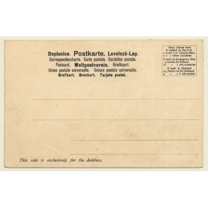 Holland - Amerika Linie: T.S.S. New Amsterdam / Steamer (Vintage PC 1900s)