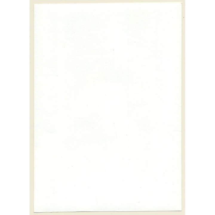 Slim Tall Nude With Great Haircut / Legs (Vintage Photo GDR ~1980s)