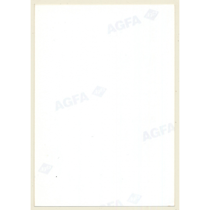 Natural Darkhaired Semi Nude Takes Off Panties (Vintage Photo ~1990s)