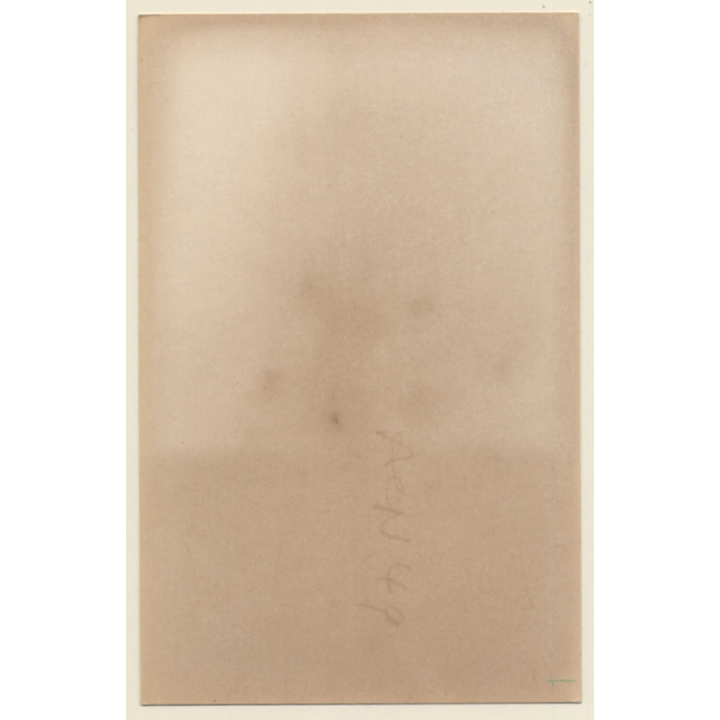 Sweet Blonde Semi Nude Female Standing / Suspenders - Nylons (Vintage Photo ~1950s/1960s)