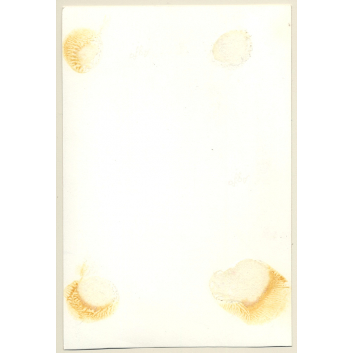 Busty Dark-Skinned Female Flashing Boobs / Wool Dress (Vintage Photo 2nd Gen ~1960s)