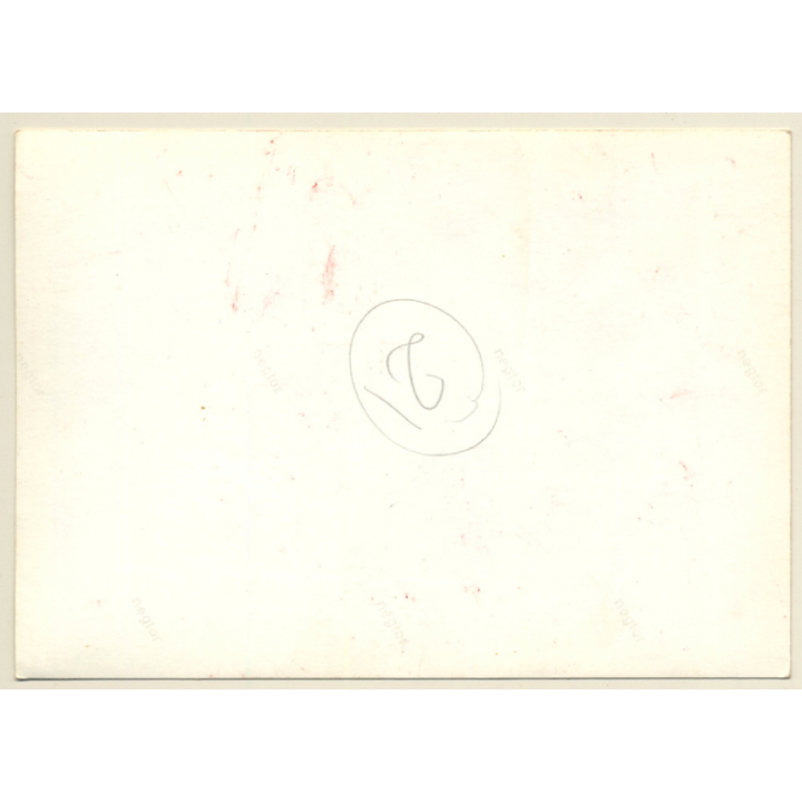 Campamento Militar General Asensio / Palma De Mallorca: Military Parade (Vintage Photo 1960s)