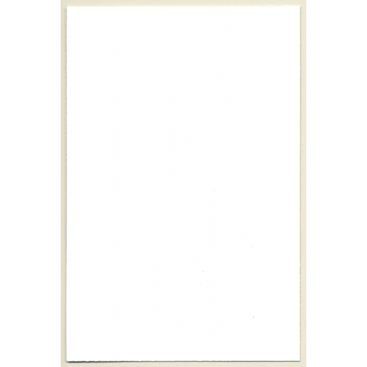 Natural Blonde Nude On Psychedelic Carpet*9 / Suspenders - Boobs (Vintage Photo GDR ~1970s/1980s)