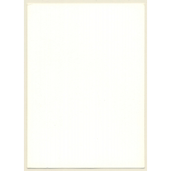 Slim Nude Female Standing / Pearl Curtain (Vintage Photo GDR ~1970s/1980s)